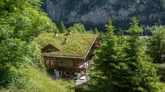 Begrüntes Einfamilienhaus in der Schweiz