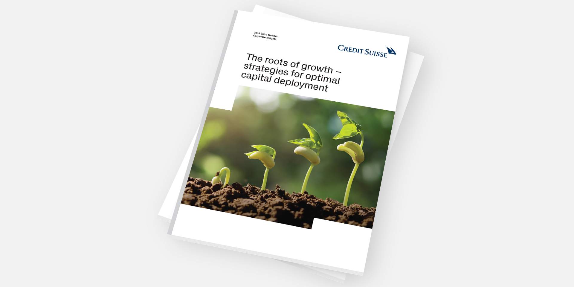 The roots of growth – strategies for optimal capital deployment